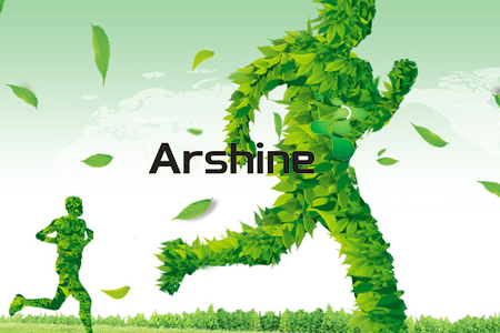 湖南艾臣--善微科技【網(wǎng)站建設(shè)案例】